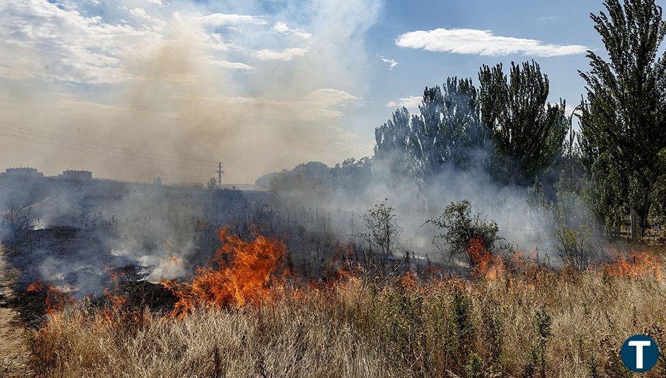 Controlado un fuego cercano al castillo de Burgos   