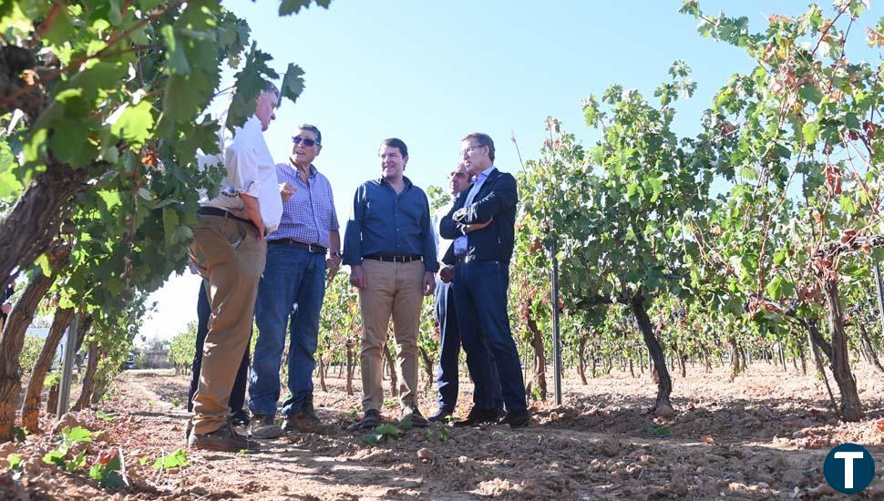 Mañueco expresa el compromiso con el sector vitivinícola y pide reprogramar el Perte Agroalimentario