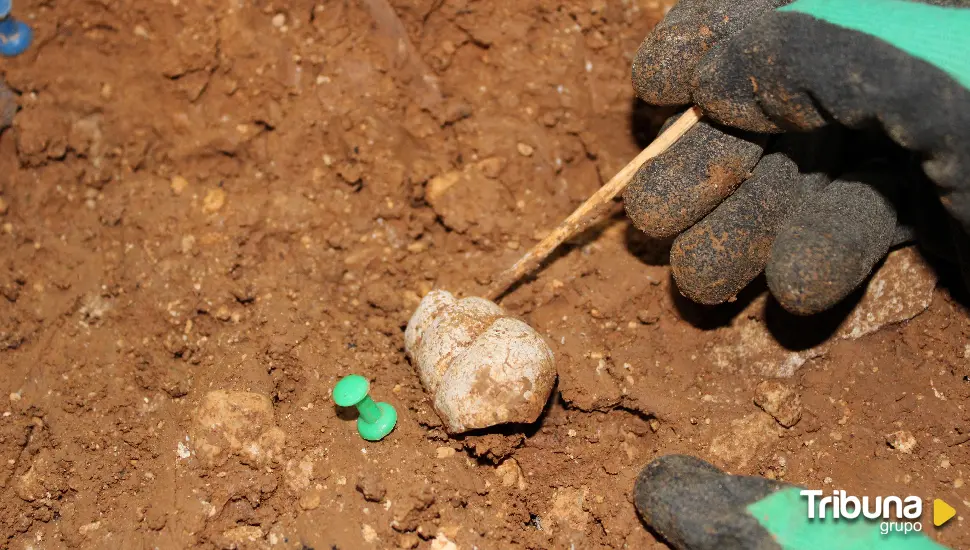 Los neandertales de Prado Vargas, en Cornejo, fueron los primeros coleccionistas de fósiles