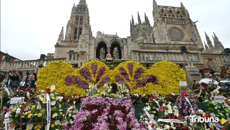 Burgos honra con más de 50.000 flores a su patrona Santa María la Mayor a los pies de la Catedral