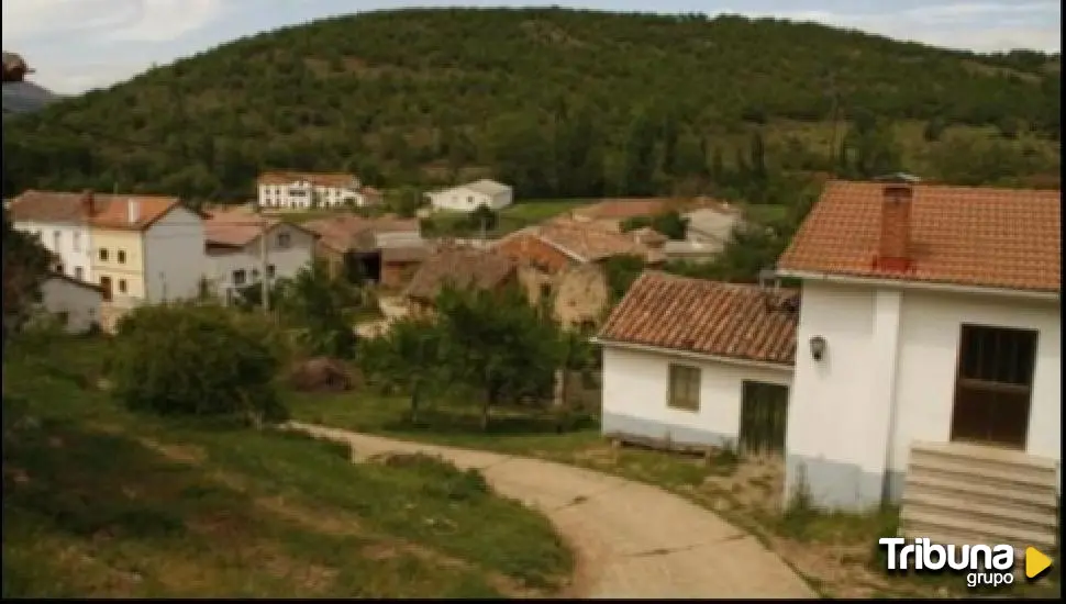 Recuperan restos de represaliados de la Guerra Civil en una fosa de Villela