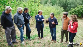 Alcampo impulsa en Burgos un bosque "para comérselo"