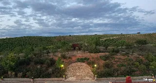 La Ruta del Vino Ribera del Duero firma su compromiso con Biosphere Destination